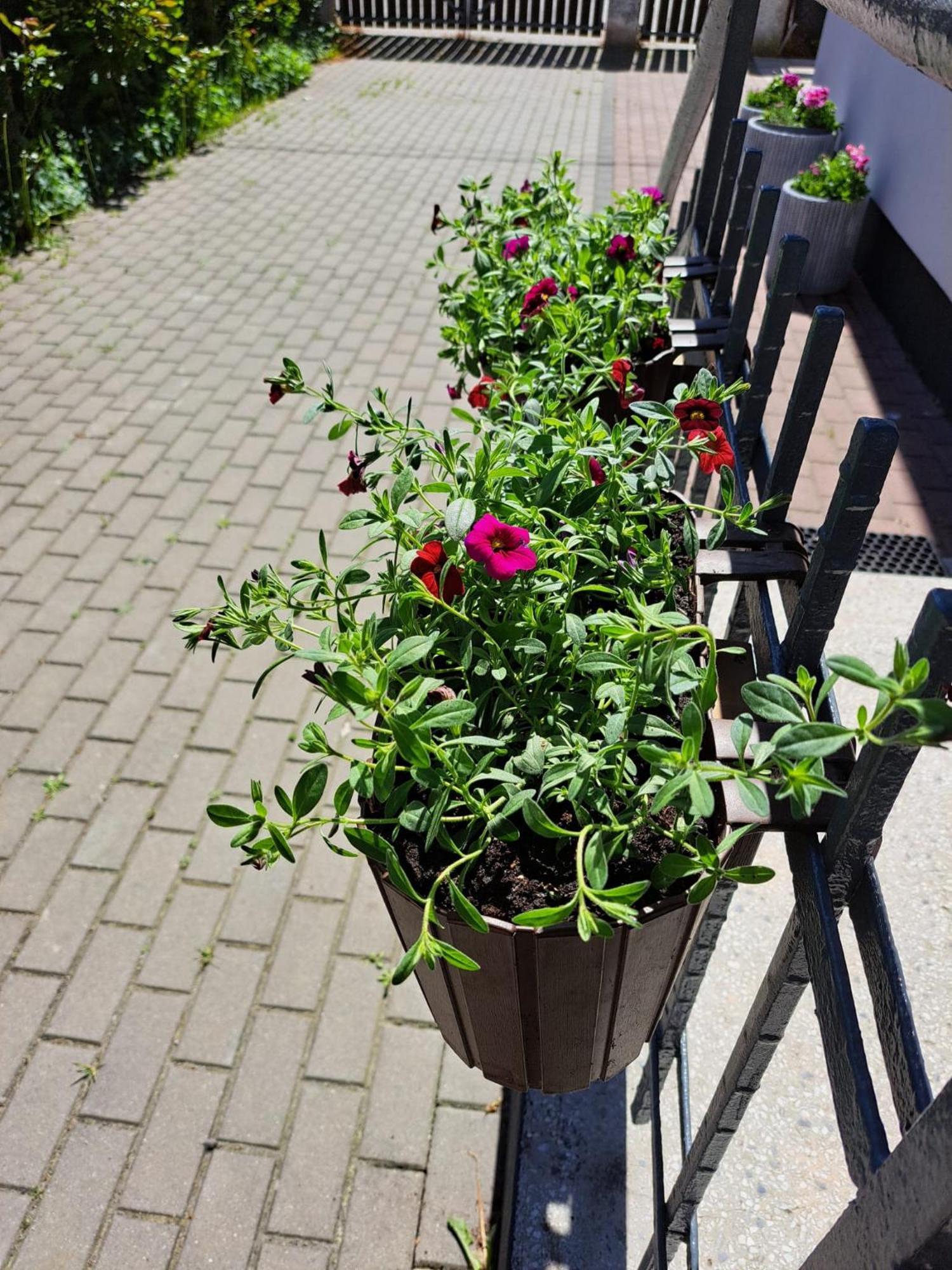 Apartment 75 M2 - Private House